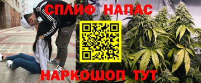 гидропоника Татарск