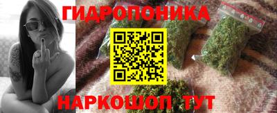 крисы Тара